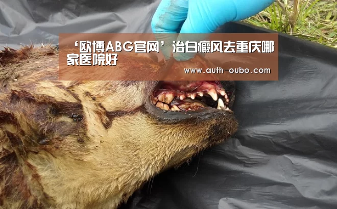 欧博官网